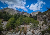Hiking the McKittrick Canyon trail in Guadalupe Mountains National Park