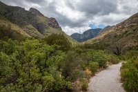 Hiking the McKittrick Canyon trail in Guadalupe Mountains National Park
