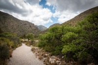 Hiking the McKittrick Canyon trail in Guadalupe Mountains National Park