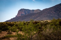 In Guadalupe Mountains National Park