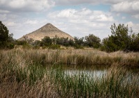In Guadalupe Mountains National Park