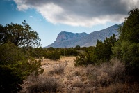 In Guadalupe Mountains National Park