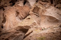 At Bandalier National Park