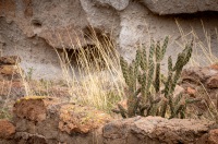 At Bandalier National Park