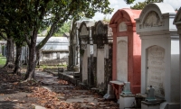 At Lafeyette Cemetary No 1 in New Orleans