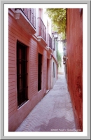 Barrio Santa Cruz, Sevilla
