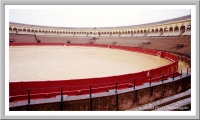 Sevilla's Bull Ring (Plaza de Toros)