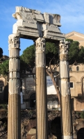 Temple of Venus Genetrix in the Forum of Caesar