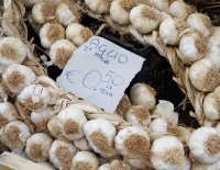 Garlic at the Market