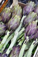 Artichokes