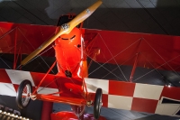 Pfalz D.XII at the Smithsonian Air and Space Museum