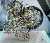 Kendrew myoglobin model