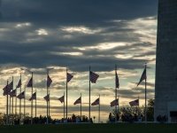 Flags at the Washington Monument