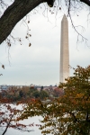 Washington Monument from around the Tidal Basin