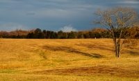 At Manassas Battlefield Park