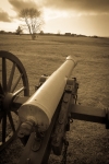 At Manassas Battlefield Park