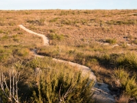 Carlsbad Caverns NP