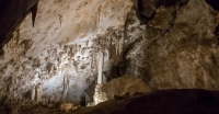 In Carlsbad Caverns