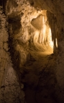 In Carlsbad Caverns