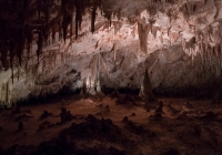 In Carlsbad Caverns