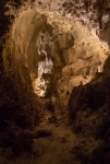 In Carlsbad Caverns