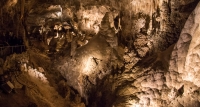 The Big Room in Carlsbad Caverns