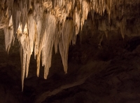 In Carlsbad Caverns