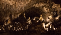 The Big Room in Carlsbad Caverns