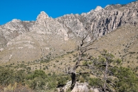 Along the Devil's Hall Trail in Guadalupe Mtns NP