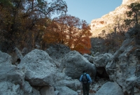 Along the Devil's Hall Trail in Guadalupe Mtns NP