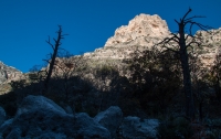 Along the Devil's Hall Trail in Guadalupe Mtns NP