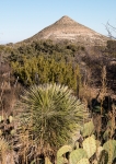 View near Frijole Ranch