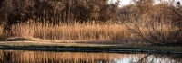 Pecos River BLM area in Carlsbad