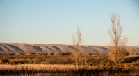 Pecos River BLM area in Carlsbad