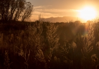 Pecos River BLM area in Carlsbad