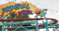 Primeval Whirl