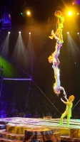 Festical of the Lion King