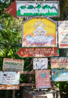 Asian signs