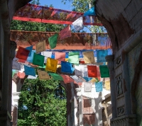 On the Maharajah Jungle Trek