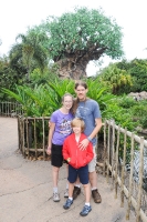In front of the Tree of Life