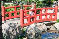 Kyle in the Japanese garden