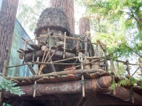 Ewok Village