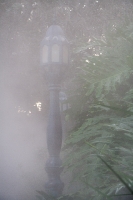 Foggy Tower of Terror queue