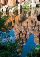 Reflection