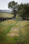 At Bloody Lane at Antietam National Battlefield