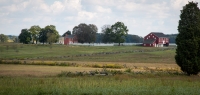 At Pitzer Woods at Gettysburg National Battlefield