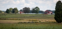 At Pitzer Woods at Gettysburg National Battlefield