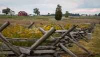 At Gettysburg National Battlefield