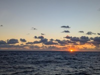 0SS_103_P6P_PXL_20251017_112202167