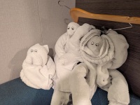 0SS_134_P6P_PXL_20251019_010457663